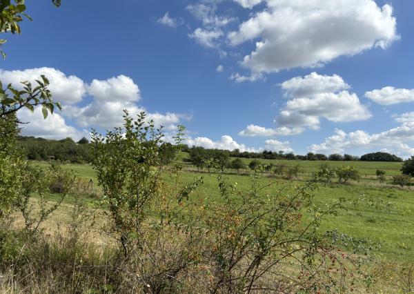 PREDAJ – Pozemok, k.ú. Popudinské Močidľany – EXPISreal