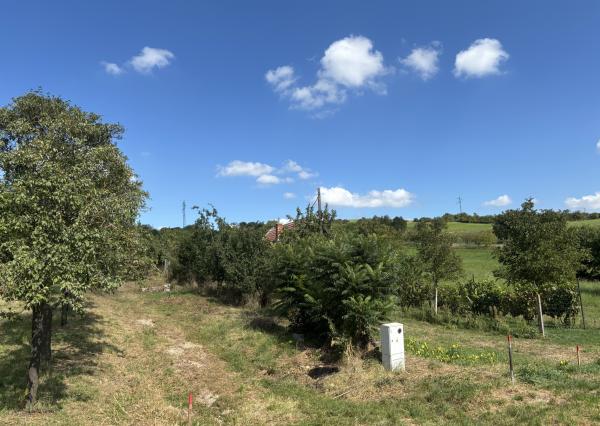 PREDAJ – Pozemok, k.ú. Popudinské Močidľany – EXPISreal