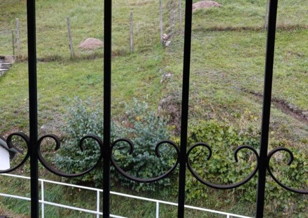 PRENÁJOM Rodinný dom  ulica Podháj, Bratislava – Lamač EXPIS REAL