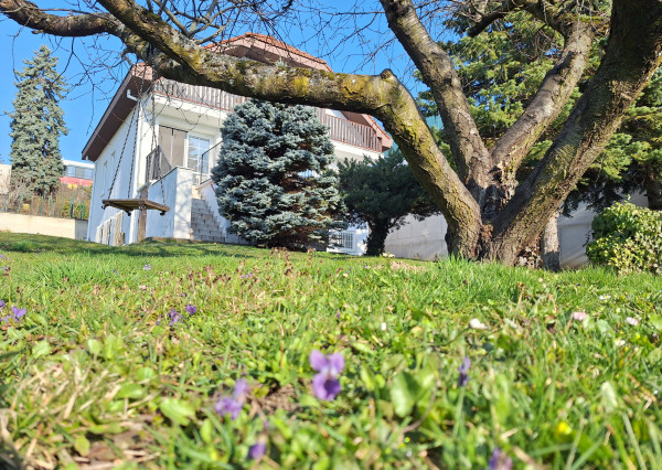 PRENÁJOM 6izb DOG Friendly Koliba Nové Mesto EXPISREAL