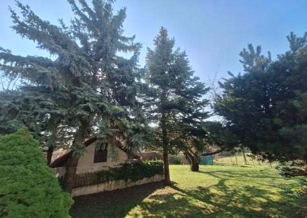 PRENÁJOM 6izb DOG Friendly Koliba Nové Mesto EXPISREAL