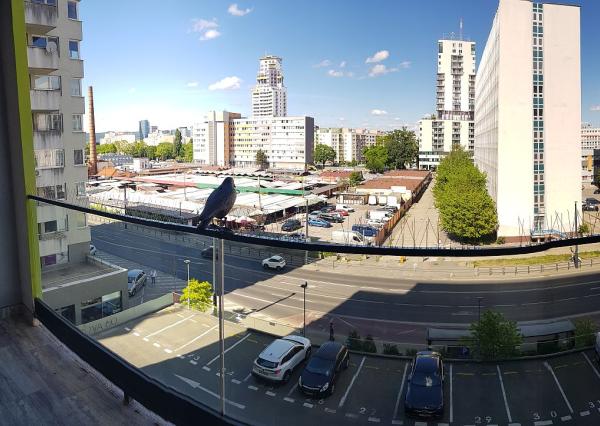 PRENÁJOM Novostavba , Miletičova 60, Ružinov, Bratislava EXPISREAL