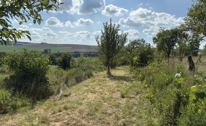 PREDAJ – Pozemok, k.ú. Popudinské Močidľany – EXPISreal - fotografia 5