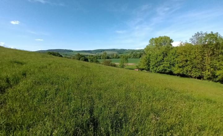 Predaj - Pozemok, orná pôda k.ú. Podbranč - EXPISreal - fotografia 1