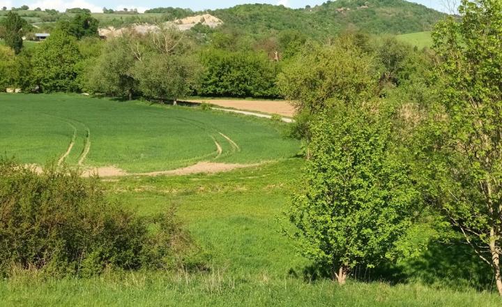 Predaj - Pozemok, orná pôda k.ú. Podbranč - EXPISreal - fotografia 3