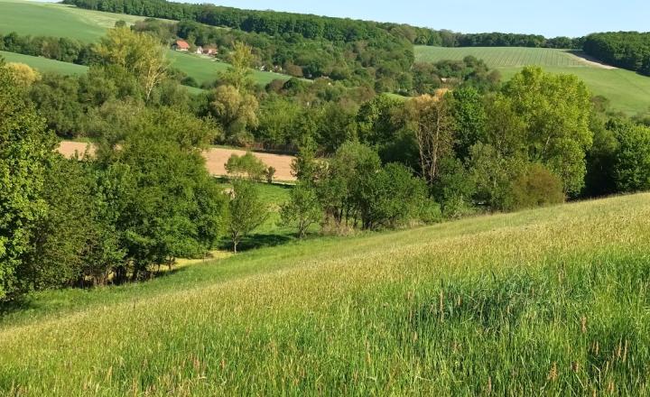 Predaj - Pozemok, orná pôda k.ú. Podbranč - EXPISreal - fotografia 5