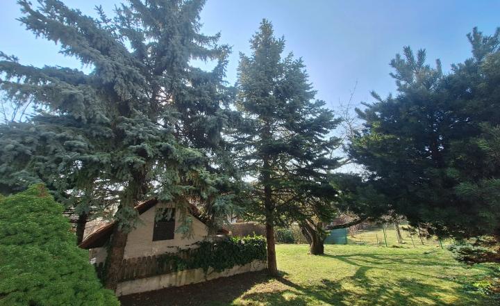 PREDAJ 6izb rodinný dom Koliba pri lesoparku s výhľadom Nové Mesto EXPISREAL - fotografia 4