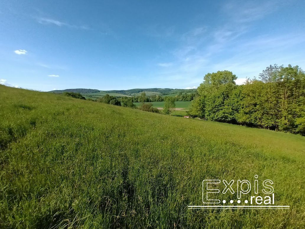 PREDAJ- Výrazná zľava – Pozemok - orná pôda , k.ú. Podbranč - EXPISreal