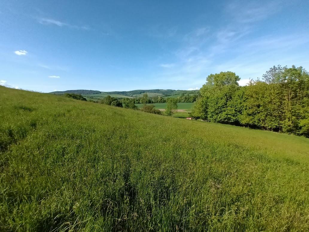 Predaj - Pozemok, orná pôda k.ú. Podbranč - EXPISreal