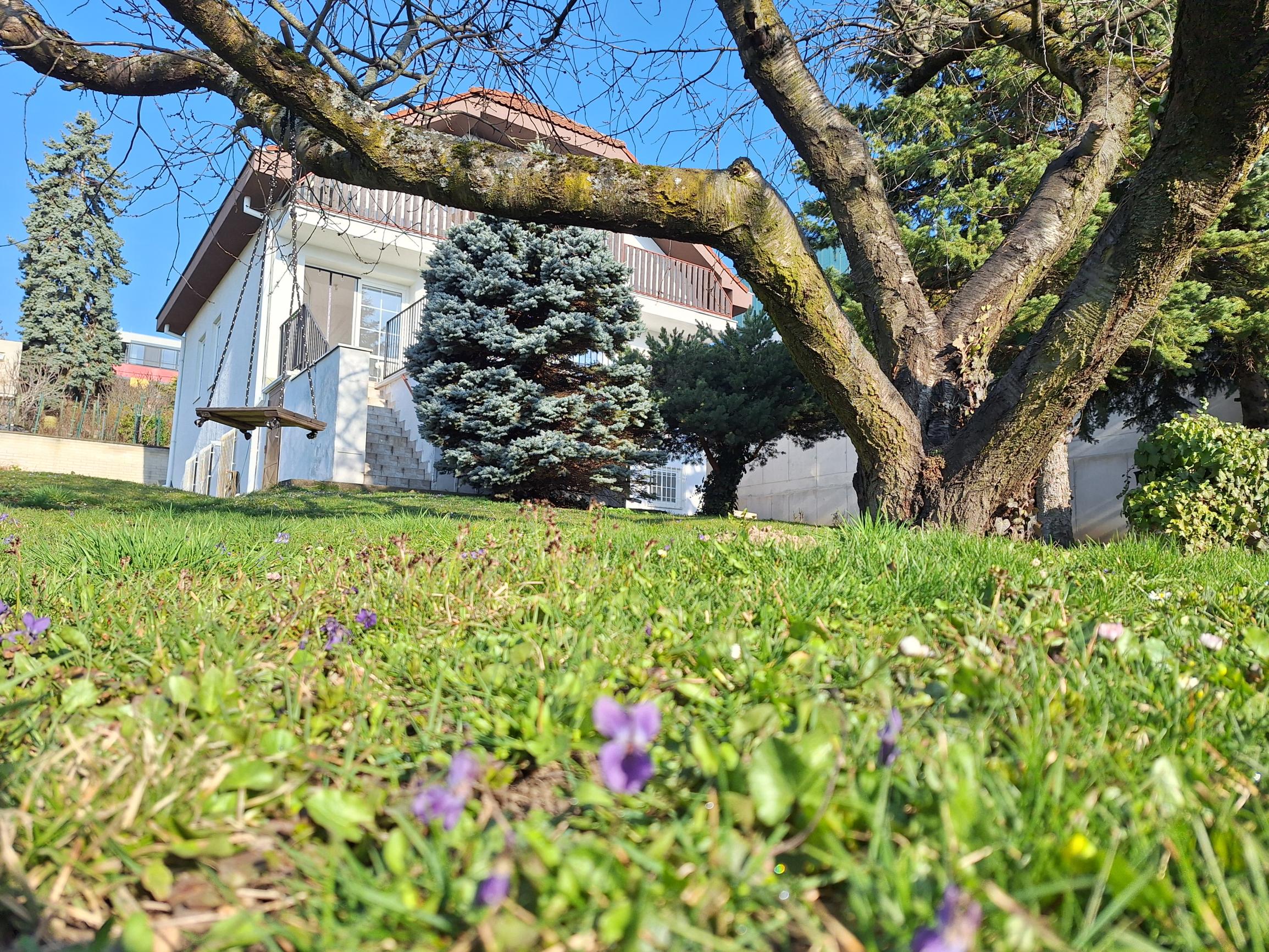 PRENÁJOM 6izb DOG Friendly Koliba Nové Mesto EXPISREAL